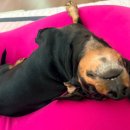 양상국 해운대점 | [부산/해운대] 부산 양곱창 맛집 부산해운대회식맛집 해운대룸식당 원탑양상국해운대점 강추후기