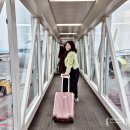 41190-01-07-384 | 제주 가볼만한곳 제주도 먹방 여행 코스