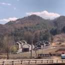 휘게리하우스 | [홍천] 강원도 애견동반펜션 '휘게리 홍천 하우스' 독채펜션 후기