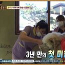 개네가고양이네