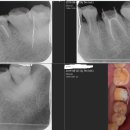 삼호명인치과의원 이미지
