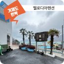 야자수 펜션 민박 이미지