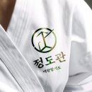 다인복싱체육관 | [디자인다인] 합기도 킥복싱 체육관 로고 디자인 제작 후기