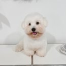 반야시스터 이미지