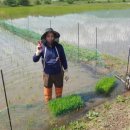 푸른솔농장5 이미지