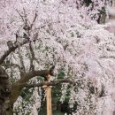 포곡도서관 이미지