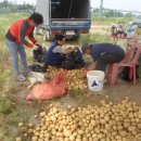 일동자원 이미지