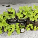 인지미술교실 이미지