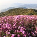 186차 경남 남해 망운산(철쭉) 산행 신청 받습니다 이미지