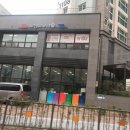 모닝글로리세종