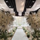 (주)하스 | haas 하스 스냅 | 서울 포스코센터 아트홀 아이폰 스냅