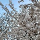 태장로-L 이미지