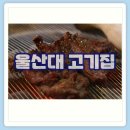대식가2900 이미지