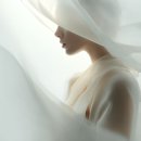 새하얀세탁 | 퍼퓸드말리 발라야 향수 시향 후기. 새하얀 실크 같은 화이트 플로럴