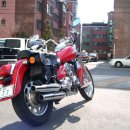 데이스타 이미지