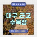 수목장 | 대구수목장 가까운 곳 찾고 계신다면, 답사 후기와 비용 안내
