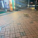 호천마을회관 이미지