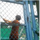 공때리기 이미지