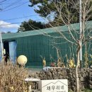 채우리네 | [제주] 서귀포 애견동반 가성비 숙소 | 채우리네 펜션 : 내돈내산 후기