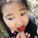 기안농장 이미지