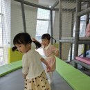 천전동5 이미지