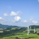 메밀목장 이미지