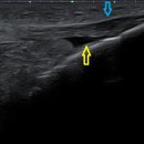 마디의원, 편한한의원 이미지