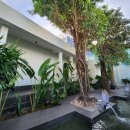 노보텔 | 푸꾸옥 노보텔 후기 수영장 다이닝 공간 스파 부대시설 만점