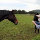 이든목장 이미지