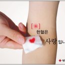 어리실천 티스토리