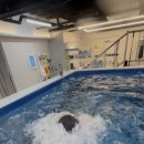 바른수영 이미지