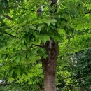 주식회사 쿨쿨 이미지