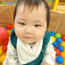 꽃처럼 - 송파구 올림픽로49길 8 | 꽃처럼