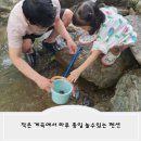 초록 펜션 | 계곡 앞 독채펜션 양평 초록 밤 풀빌라 A동 후기