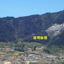 송학농원 이미지