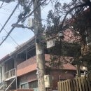 유동여자경로당 이미지