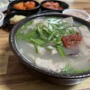 신마산식당 | 대구 국밥 맛집 신송자 신마산식당 후기｜주차 어렵지만 맛은 인정