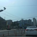 양덕동532 이미지