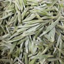 백호농장 이미지