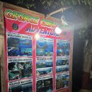 황준하 | 준하랑 여행♡사랑해 필리핀♡ "모알보알 편"-1일차②_화이트비치,캐녀닝투어현지업체예약,Heavenly spa...