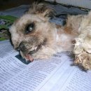 생명의집 이미지