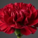 신성중,고등학교 이미지