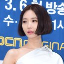 법인전의고씨