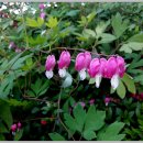 해찬솔농장 이미지