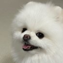 디니어 - 김해시 | 디니어