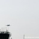 아라팰리스호텔 이미지