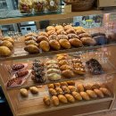 성심한의원 | 🐑 성심어린 ｜ 첫눈의 악몽 🥶🚗🚨 ｜ 아보디저트 🥐 ｜ 키스는 괜히 해서 ｜ 알래스카 한의원