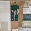 캣플코지눅 시화점 이미지