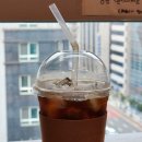 고양이별 캣 카페 이미지