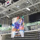 파라에스트라전하